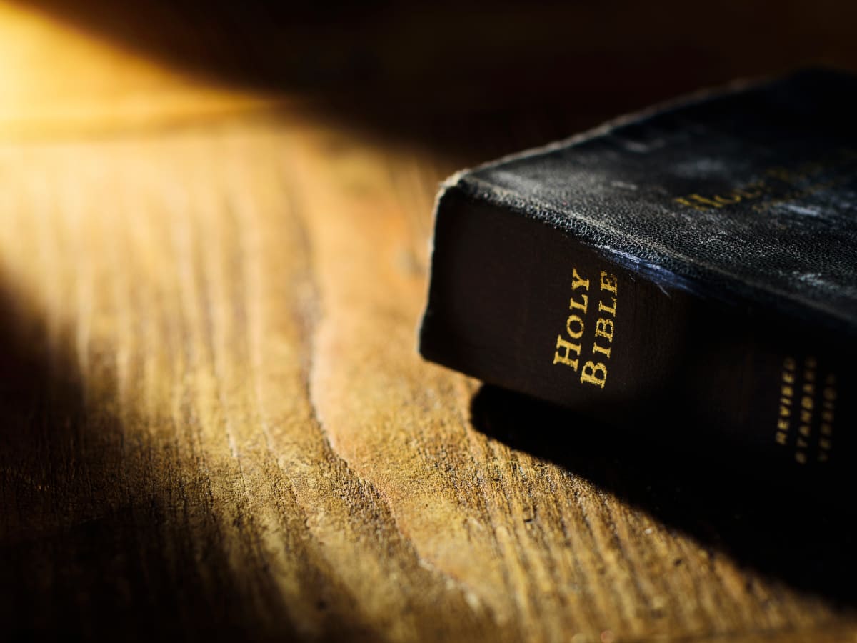 The Holy Bible - A Comprehensive Summary Of The Biblical History